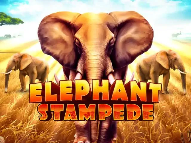 Elephant Stampede